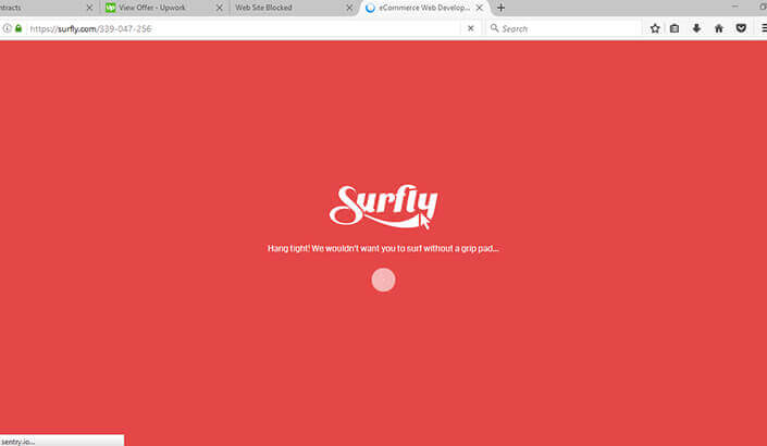 Surfly Screen 6