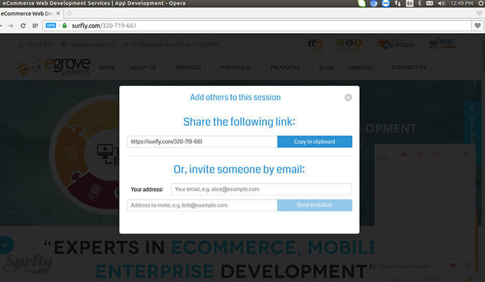 Surfly Screen 4
